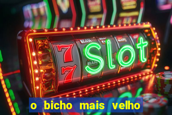 o bicho mais velho da loteria dos sonhos